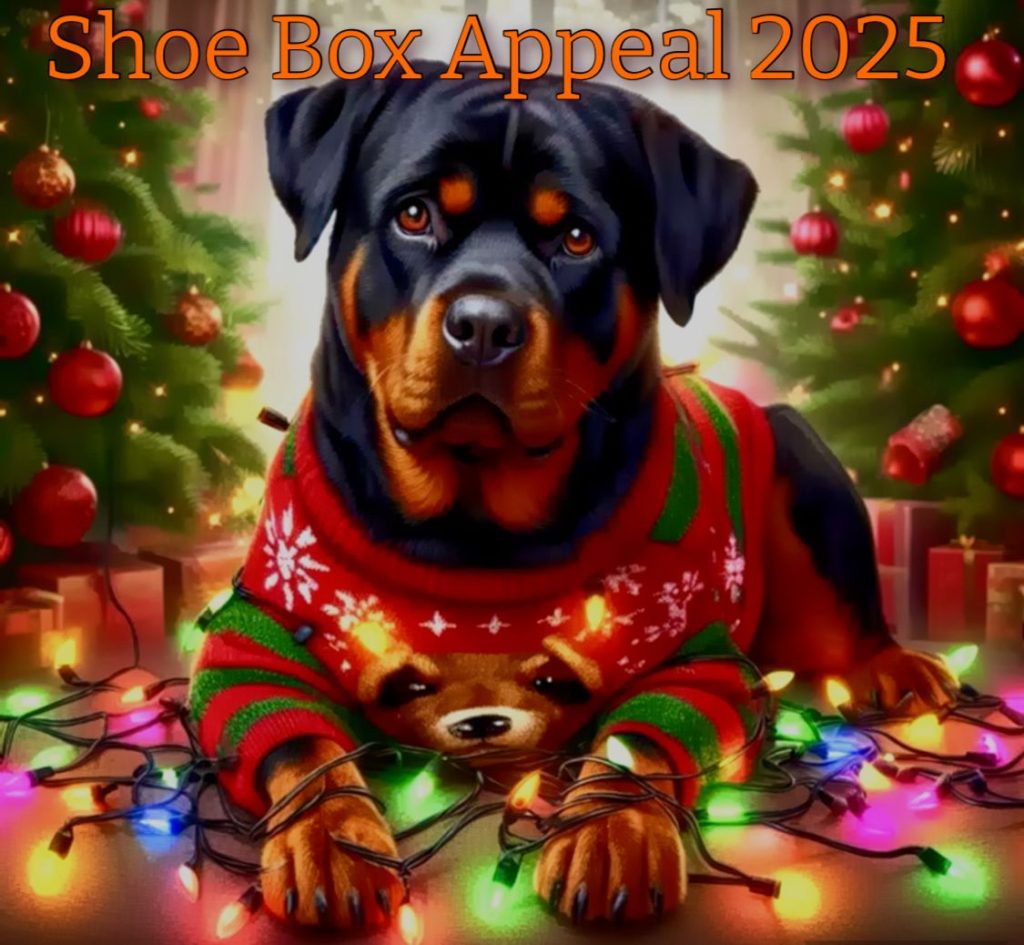 Shoe Box Appeal shoe box appeal 2025